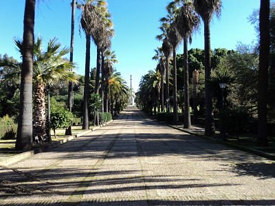 Excursión al muelle de las carabelas